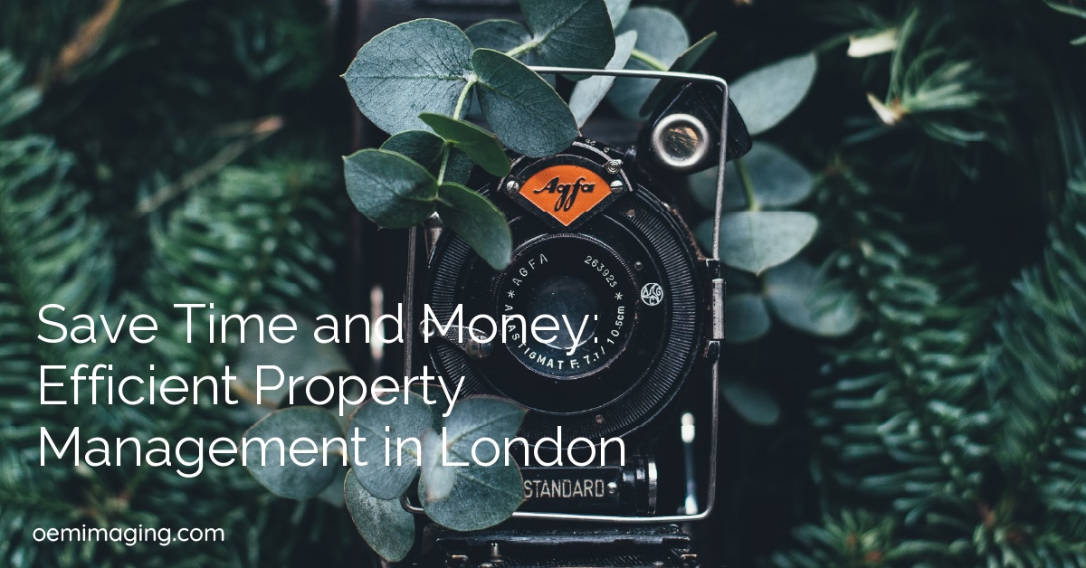 Save Time and Money: Efficient Property Management in London