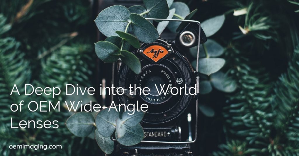 A Deep Dive into the World of OEM Wide-Angle Lenses