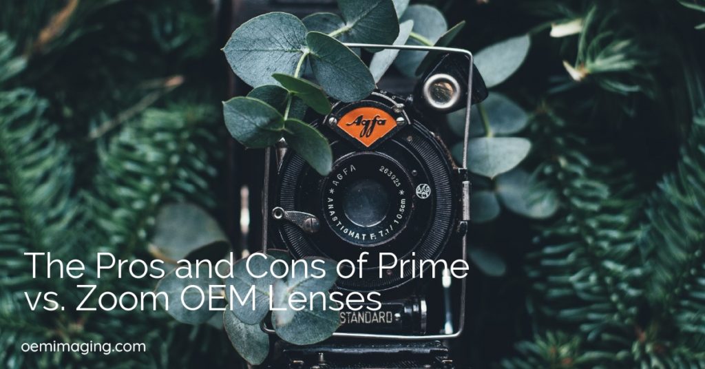 The Pros and Cons of Prime vs. Zoom OEM Lenses