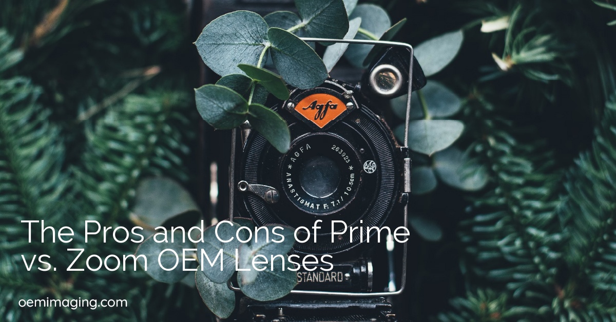 The Pros and Cons of Prime vs. Zoom OEM Lenses