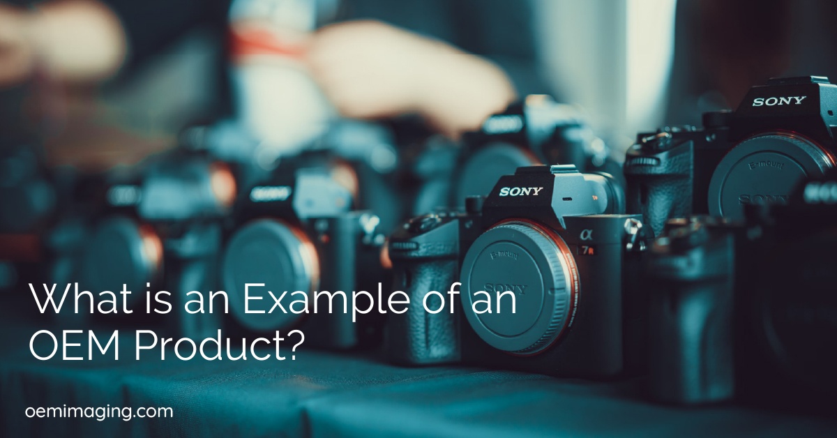 What is an Example of an OEM Product?